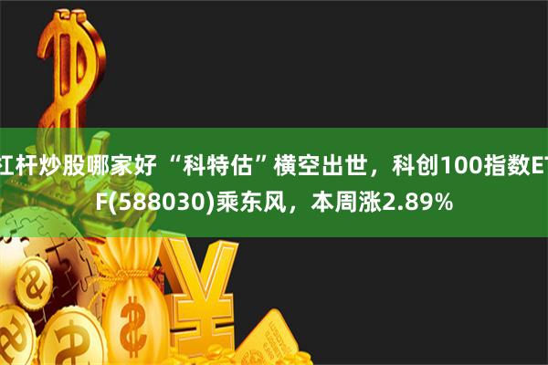 杠杆炒股哪家好 “科特估”横空出世，科创100指数ETF(588030)乘东风，本周涨2.89%