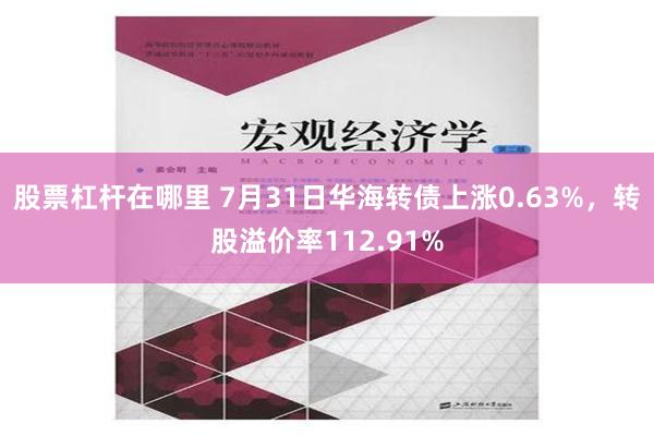 股票杠杆在哪里 7月31日华海转债上涨0.63%，转股溢价率112.91%