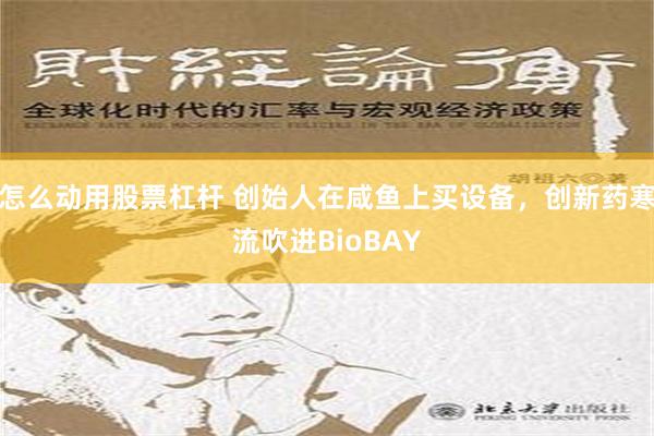 怎么动用股票杠杆 创始人在咸鱼上买设备，创新药寒流吹进BioBAY