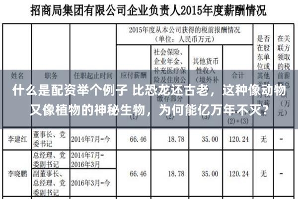 什么是配资举个例子 比恐龙还古老，这种像动物又像植物的神秘生物，为何能亿万年不灭？