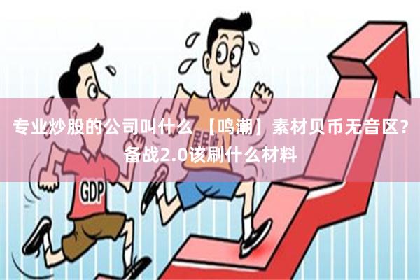 专业炒股的公司叫什么 【鸣潮】素材贝币无音区？备战2.0该刷什么材料