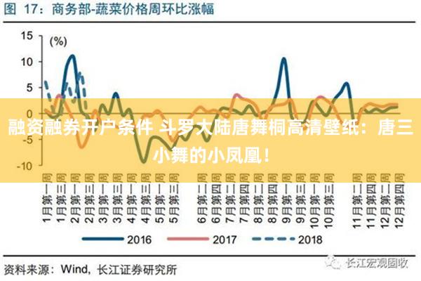 融资融券开户条件 斗罗大陆唐舞桐高清壁纸：唐三小舞的小凤凰！