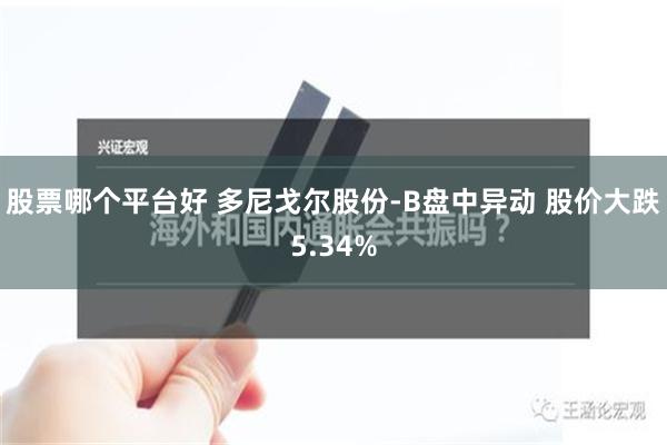 股票哪个平台好 多尼戈尔股份-B盘中异动 股价大跌5.34%